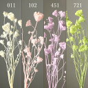 プリザーブドフラワー 花材 即日出荷 グリーンミスト 花材 素材 材料 パーツ ドライフラワー スワッグ ブーケ ドライフラワー花束 ドライフラワースワッグ リ...