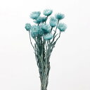 ドライフラワー 花材 即日出荷 ミニシルバーデージー ターコイズブルー 花材 素材 材料 パーツ シルバーデイジー 青 ブルー ドライフラワー スワッグ ブーケ...