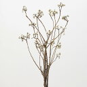 ドライフラワー 花材 とりよせ品 ナンキンハゼ・ステム付き 花材 素材 材料 パーツ 実 なんきんはぜ インテリア ディスプレイ スワッグ リース アレンジ ア...