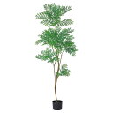 フェイクグリーン 観葉植物 【メーカー直送品】 エバーフレッシュ(ポット付)《代引決済・他商品と同梱不可》 観葉植物 1.8m おしゃれ 人工観葉 ねむの木 ネ...