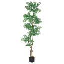 フェイクグリーン 観葉植物 【メーカー直送品】 エバーフレッシュ(ポット付)《代引決済・他商品と同梱不可》 観葉植物 2m おしゃれ 人工観葉 ねむの木 ネムノ...