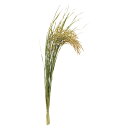 【ポイント10倍中 7/26 09:59迄】 正月 ベース とりよせ品 稲穂(大) お正月アレンジ お正月インテリア お正月小物 花器 フラワーアレンジメント ...