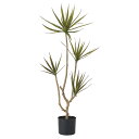 フェイクグリーン 観葉植物 【メーカー直送品】 ドラセナ(ポット付) 120cm《代引決済・他商品と同梱不可》 ドラゴンツリー 幸福の木 1.2m 屋内装飾 ア...