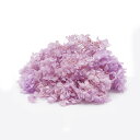 プリザーブドフラワー 花材 即日出荷 ソフトあじさいピラミッド ライラック 花材 素材 材料 パーツ ドライフラワー アジサイ あじさい 紫陽花 パープル 花びら プリザーブドフラワー スワッグ ブーケ 花束 ドライフラワースワッグ リース アレンジ 東花(4)