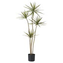 フェイクグリーン 観葉植物 【メーカー直送品】 ドラセナ(ポット付) 160cm《代引決済・他商品と同梱不可》 ドラゴンツリー 幸福の木 1.6m 屋内装飾 ア...