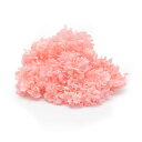 プリザーブドフラワー 花材 即日出荷 ソフトあじさいピラミッド ベビーピンク 花材 素材 材料 パーツ ドライフラワー アジサイ あじさい 紫陽花 ピンク 花び...