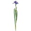 《 造花 》Asca/アスカ アイリス杜若 カキツバタ 菖蒲 アヤメ 五月