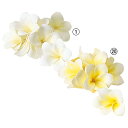 造花 とりよせ品 ☆プルメリア レイ ハワイ 南国 トロピカル インテリア インテリアフラワー フェイクフラワー シルクフラワー インテリアグリーン アスカ ASCA アスカ商会