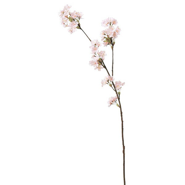 《 造花 》 ◆とりよせ品◆Asca(アスカ) 桜×50 つ