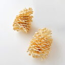 ドライフラワー 花材 とりよせ品 シェラコーン(2個) 木の実 フルーツ 果実 ナッツ ドライ 自然素材 ドライフラワー ナチュラルドライフラワー インテリア ...