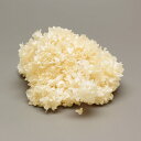 プリザーブドフラワー 花材 即日出荷 ソフトあじさいてまり玉 オフホワイト アジサイ あじさい 紫陽花 花びら 花材 素材 材料 パーツ 白 ホワイト オフホワ...