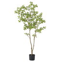 フェイクグリーン 観葉植物 【メーカー直送品】 マダガスカルアーモンドツリー(ポット付) 160cm《代引決済・他商品と同梱不可》 1.6m 屋内装飾 大型 ア...