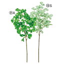 【ポイント10倍中 7/11 09:59迄】 造花 グリーン とりよせ品 パセリ ハーブ みどり グリーン インテリア フェイク パーツ インテリアフラワー フ...