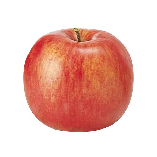 【P10倍 12/31まで!】 フェイクフルーツ 造花 仏花 とりよせ品 フジリンゴ インテリア イミテーション 花材 花資材 素材 材料 パーツ 装飾 手作り...