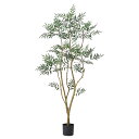 フェイクグリーン 観葉植物 【メーカー直送品】 マホニア(ポット付) 185cm《代引決済・他商品と同梱不可》 ホソバヒイラギナンテン 1.8m 屋内装飾 春 ...