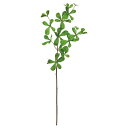【ポイント10倍中 7/11 09:59迄】 造花 グリーン とりよせ品 リーフスプレー 緑 グリーン 葉もの 葉っぱ インテリア フェイク パーツ インテリア...