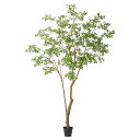 フェイクグリーン 観葉植物 【メーカー直送品】 マダガスカルアーモンドツリー(ポット付) 280cm《代引決済・他商品と同梱不可》 2.8m 屋内装飾 大型 ア...