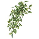 【ポイント10倍中 7/11 09:59迄】 造花 グリーン とりよせ品 ワンダリングジューハンギングブッシュ 緑 グリーン 葉もの 葉っぱ 壁面緑化 ウォール...