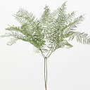 プリザーブドフラワー 花材 とりよせ品 シースターファーン・プリザーブド 花材 素材 材料 パーツ ドライフラワー グリーン シダ植物 スワッグ ブーケ ドライ...