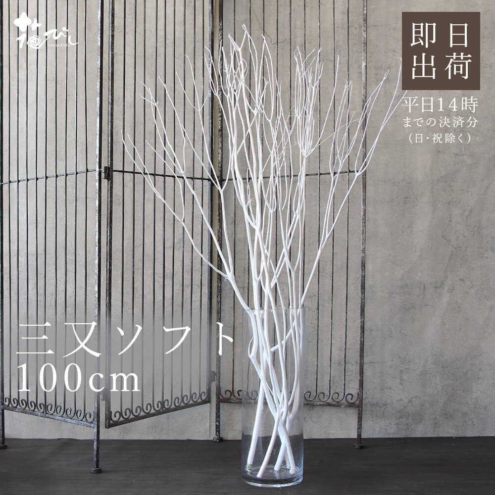 《プリザーブドフラワー 花材》★即日出荷★大地農園 三又ソフト(約100cm) 白 三又 インテリア 枝 三又 ドライフラワー プリザーブドフラワー スワッグ ブーケ ドライフラワー花束 花束 ドライフラワースワッグ リース アレンジ 花材 花