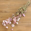 ★P10倍 10/14 20時から★ ドライフラワー 花材 即日出荷 ローダンセ・ナチュラルピンク ドライフラワー スワッグ ブーケ ドライフラワー花束 ドライ...