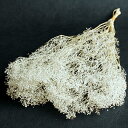 プリザーブドフラワー 花材 即日出荷 ミニカスミ草 白ラメ かすみ カスミ カスミ草 かすみ草 プリザーブドフラワー スワッグ ブーケ ドライフラワー 花束 ド...