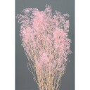 プリザーブドフラワー 花材 即日出荷 ミニカスミ草 ピンク かすみ カスミ カスミ草 かすみ草 プリザーブドフラワー スワッグ ブーケ ドライフラワー 花束 ド...