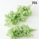 プリザーブドフラワー 花材 即日出荷 カシワバアジサイ クリアグリーン アジサイ あじさい 紫陽花 花びら プリザーブドフラワー スワッグ ブーケ ドライフラワ...