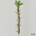 造花 グリーン 多肉植物 とりよせ品 ポキポディウム フェイクグリーン リーフ インテリア 多肉植物 南国風 トロピカル パーツ アレンジメント インテリアフラ...