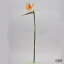 《 造花 》花びし/ハナビシ ストレリチア オレンジインテリア インテリアフラワー