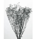 プリザーブドフラワー 花材 即日出荷 ミニカスミ草 黒ラメ かすみ カスミ カスミ草 かすみ草 プリザーブドフラワー スワッグ ブーケ ドライフラワー 花束 ド...