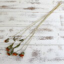 ドライフラワー 花材 即日出荷 【40%OFF】特価 ミニヒマワリ(在庫限り) ドライフラワー スワッグ ブーケ ドライフラワー花束 ドライフラワースワッグ リ...