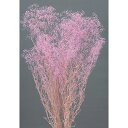 【ポイント10倍中 7/11 09:59迄】 プリザーブドフラワー 花材 即日出荷 ミニカスミ草 パープル かすみ カスミ カスミ草 かすみ草 プリザーブドフラ...