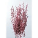 プリザーブドフラワー 花材 即日出荷 ストーベ(ペイント) ウォッシュピンク プリザーブドフラワー スワッグ ブーケ ドライフラワー 花束 リース アレンジ 花...