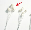 ★P10倍 10/14 20時から★ アレンジ用ピック 即日出荷 パールピック・大 15mm (12本入り) 白 スワッグ ブーケ リース アレンジ 花材 素材 材料 パーツ アレンジメント ナチュラル 自然素材 大地農園