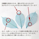 r-hanabishi:10015871のサンプル画像2