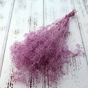 プリザーブドフラワー 花材 即日出荷 ソフトミニカスミ ラベンダー かすみ カスミ カスミ草 かすみ草 プリザーブドフラワー スワッグ ブーケ ドライフラワー ...