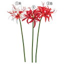【ポイント10倍!25日まで!】 正月 造花 とりよせ品 アマリリス×4 キンサンジコ 金山慈姑 ベラドンナリリー ヒッペアストルム 赤 白 紅白 造花 シルクフラワー イミテーション 和 アスカ ASCA アスカ商会