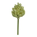 造花 グリーン 多肉植物 とりよせ品 多肉ピック アップルグリーン(1袋6個入) エアプランツ サッカレンテン サボテン インテリア フェイク グリーン パーツ...