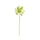 【ポイント10倍中 7/11 09:59迄】 造花 とりよせ品 ガーベラ ライトグリーン アーティフィシャルフラワー インテリア インテリアフラワー フェイクフ...