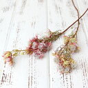 ドライフラワー 花材 即日出荷 セルリア ドライフラワー スワッグ ブーケ ドライフラワー花束 ドライフラワースワッグ リース アレンジ 花材 素材 材料 パー...