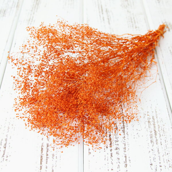 【P10倍 】 プリザーブドフラワー 花材 即日出荷 ソフトミニカスミ ブリックオレンジ かすみ カスミ カスミ草 かすみ草 プリザーブドフラワー スワッグ ブ...