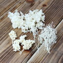 プリザーブドフラワー 花材 即日出荷 FMフラワーアソート ホワイト 小分け 少量 プリザーブドフラワー スワッグ ブーケ ドライフラワー 花束 リース アレン...