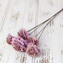 ★P10倍 10/14 20時から★ ハンドメイドフラワー 花材 即日出荷 シダローズ クリスタルピンク ドライフラワー ハンドメイドフラワー スワッグ ブーケ...