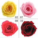 プリザーブドフラワー 花材 とりよせ品 ベイビーローズ(1箱12輪入り) ドライフラワー 花材 素材 パーツ 材料 ローズ ハーバリウム プリザーブドローズ ブリザーブド Preserving ナチュラル バラ 薔薇 プリザーブド仏花 自然素材 インテリア サシェ 封入(4)