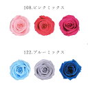 プリザーブドフラワー 花材 とりよせ品 ベイビーローズ カラーパレット(12輪入り) ドライフラワー 花材 素材 パーツ 材料 ローズ ハーバリウム プリザーブドローズ ブリザーブド Preserving ナチュラル バラ 薔薇 プリザーブド仏花 自然素材 インテリア