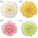 プリザーブドフラワー 花材 とりよせ品 ポンポンマム(1箱8輪入り) ドライフラワー 花材 素材 パーツ 材料 ハーバリウム プリザーブドローズ ブリザーブド Preserving ナチュラル スワッグ プリザーブド仏花 自然素材 ナチュラルドライフラワー サシェ