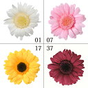 プリザーブドフラワー 花材 とりよせ品 ミニガーベラ(1箱6輪入り) ドライフラワー 花材 素材 パーツ 材料 ハーバリウム プリザーブドローズ ブリザーブド Preserving ナチュラル スワッグ プリザーブド仏花 自然素材 ナチュラルドライフラワー サシェ