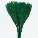 プリザーブドフラワー 花材 即日出荷 みやこ松・小 グリーン 和 お正月 松 葉 リーフ ドライフラワー スワッグ ブーケ ドライフラワー花束 ドライフラワース...