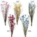 【ポイント10倍中 7/26 09:59迄】 ドライフラワー 花材 とりよせ品 アンモビューム ドライ 自然素材 ナチュラルドライフラワー インテリア インテリアフラワー プリ プリザ プリザーブド ハーバリウム スワッグ ワークショップ パーツ サシェ 花 大地農園